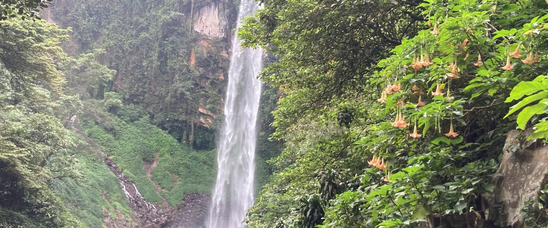 Indonesia_HariBesarInternasionalJuni_2025_1920_800_page